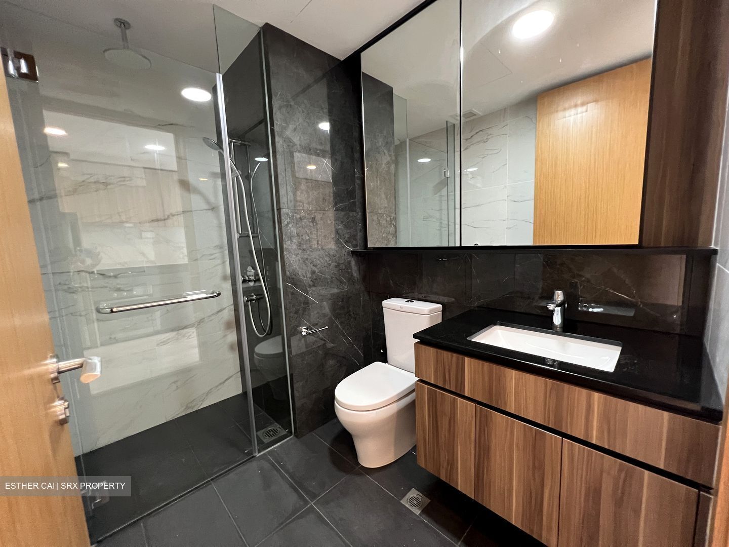 The Verandah Residences (D5), Apartment #417715621